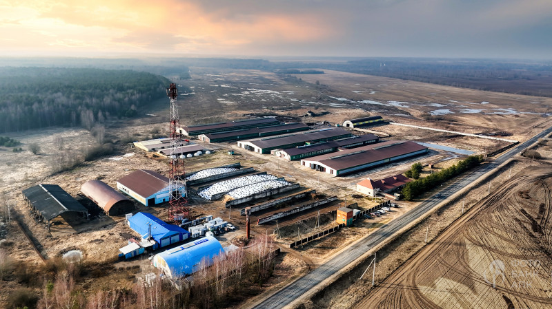 Промышленность