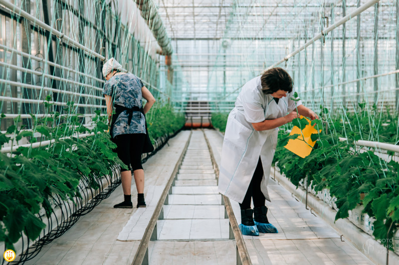 Труд агрария и земледельца