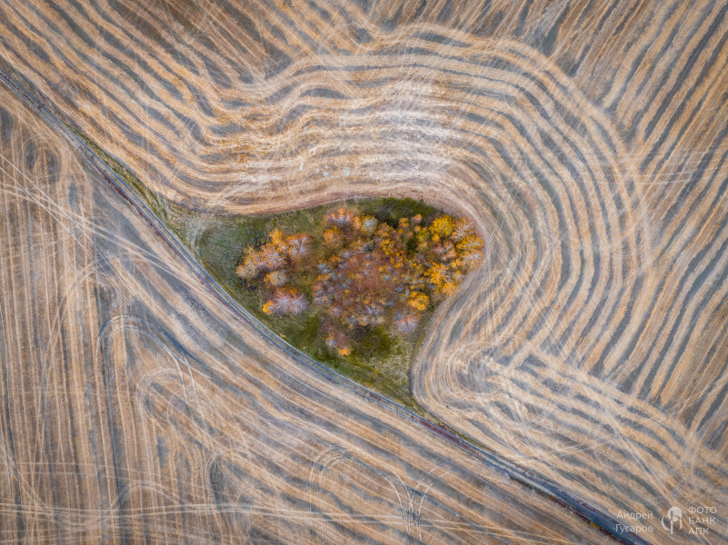 Рассветные поля. Золотая осень во всей своей красе.