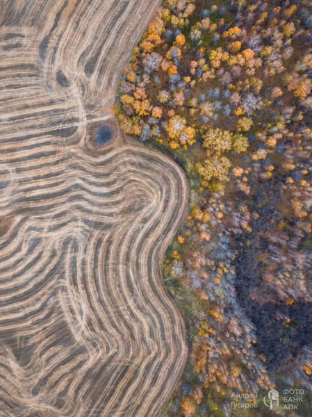 Рассветные поля. Золотая осень во всей своей красе.