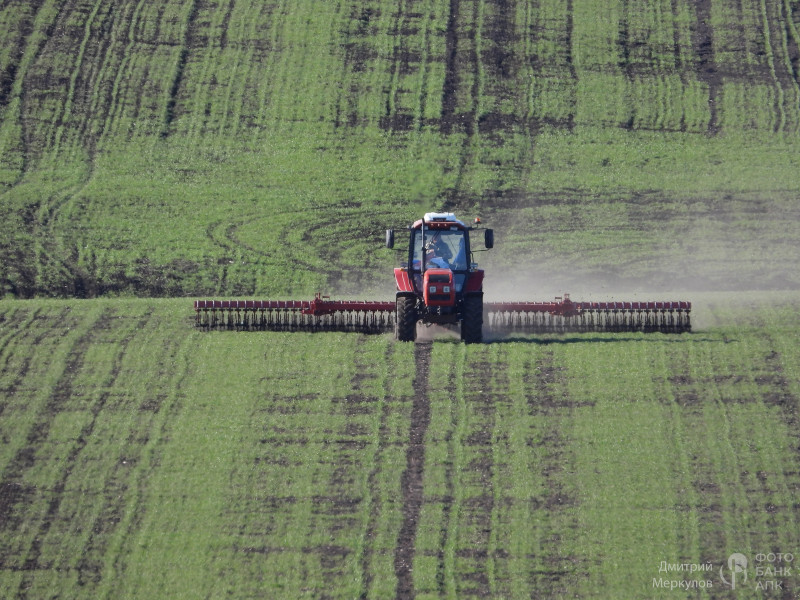 Полевые работы