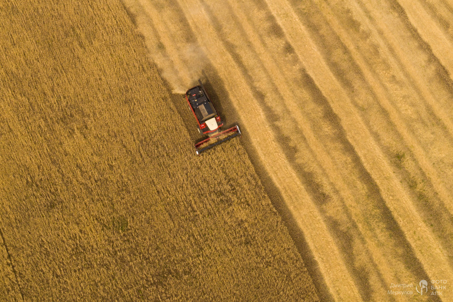 Уборка хлеба