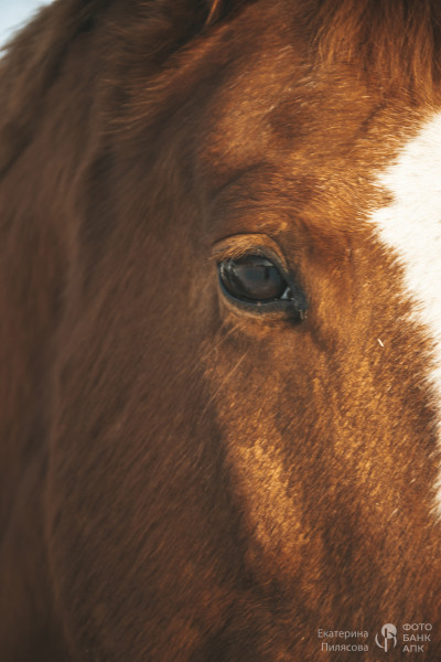 В сердце природы