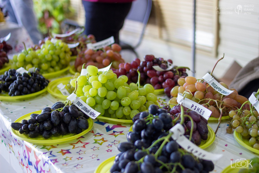 В сердце природы