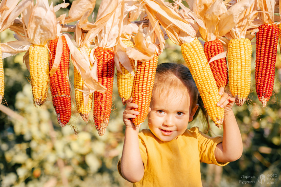 Маленькая девочка в природе и красоте сельской жизни