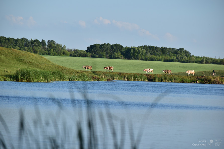Возвращаясь домой...