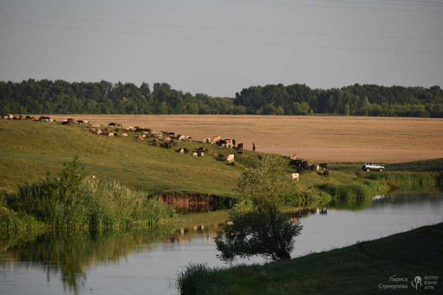 Возвращаясь домой...