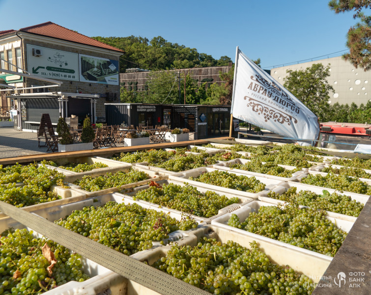 Начало сбора урожая