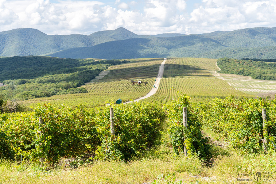 Опрыскивание