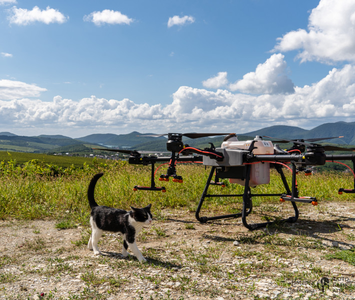 Опрыскивание