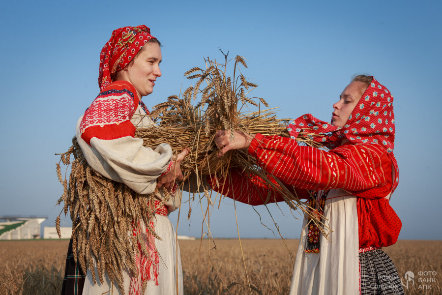 Сохраняя прошлое, возделываем будущее Сохраняя прошлое, возделываем будущее