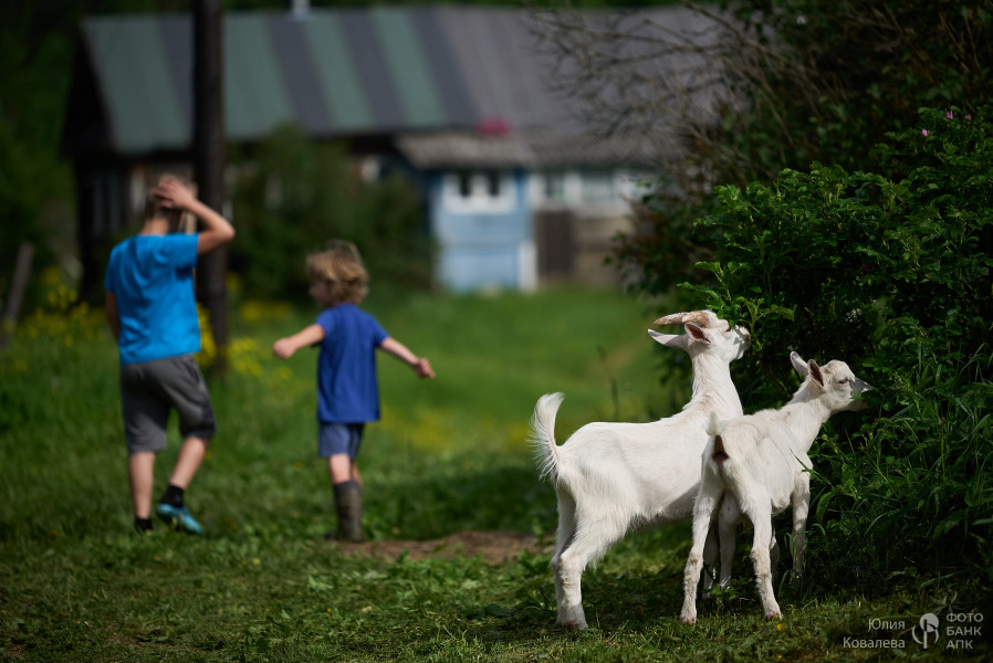 Обед привезли