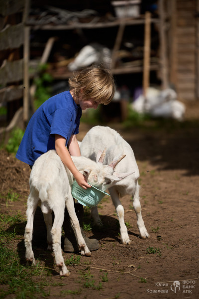 Обед привезли