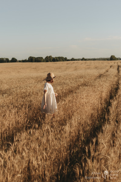 Золотой урожай