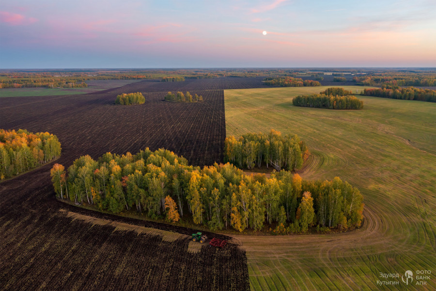 Рисунки осенних полей. Инь/янь