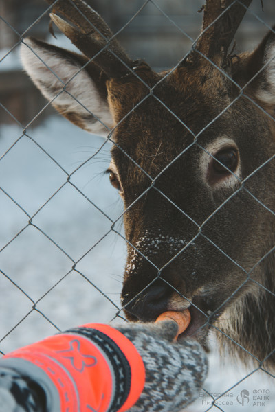 В сердце природы