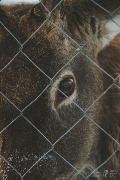 В сердце природы