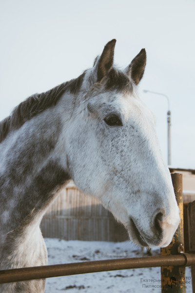 В сердце природы