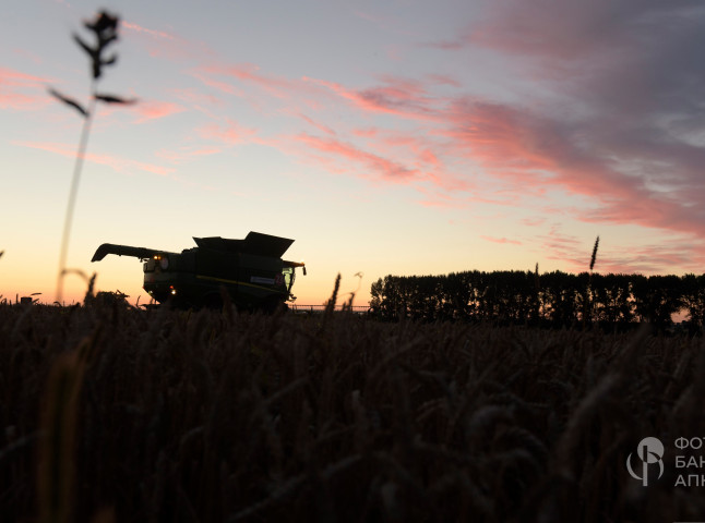 Техника в поле, сумерки