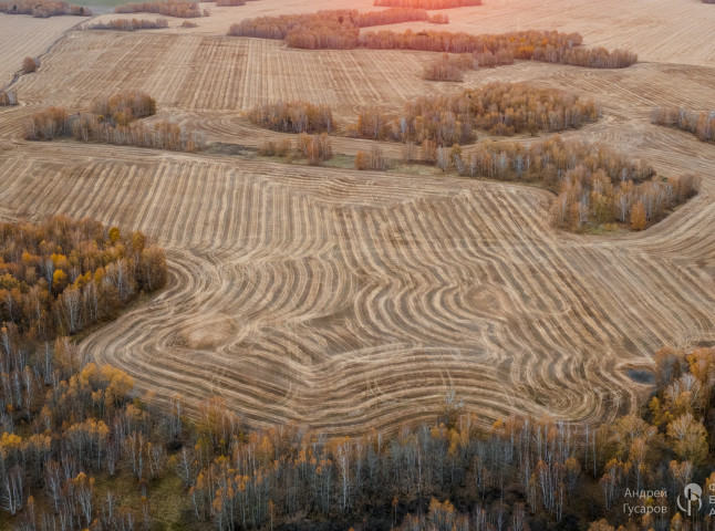 Рассветные поля. Золотая осень во всей своей красе.