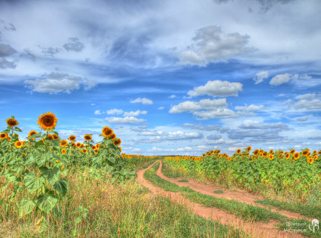 Русское поле
