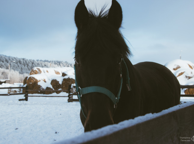 В сердце природы