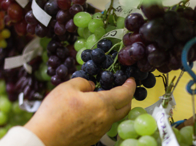 В сердце природы