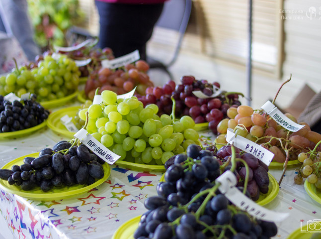 В сердце природы