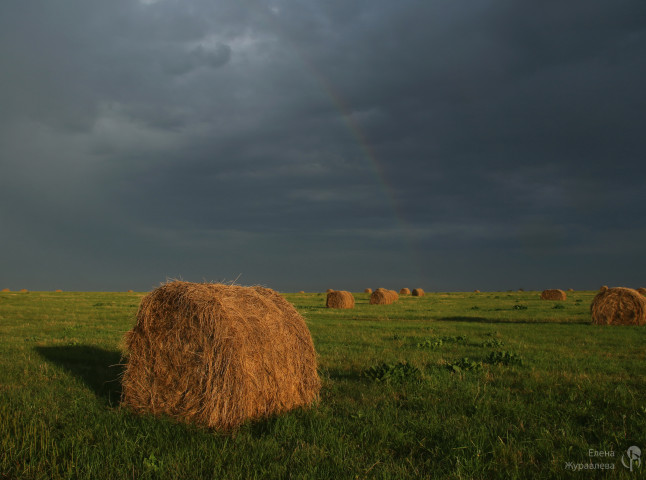 Сенокос на лугу