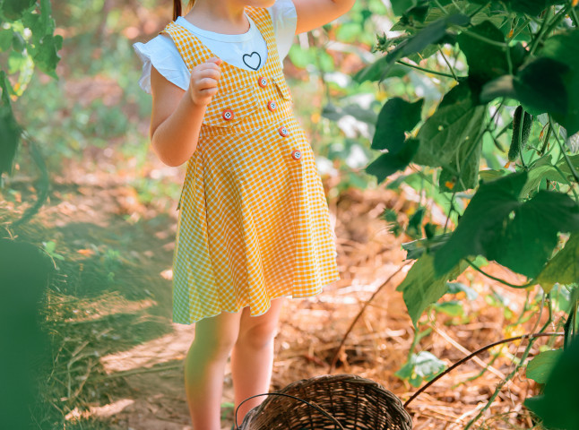Маленькая девочка в природе и красоте сельской жизни