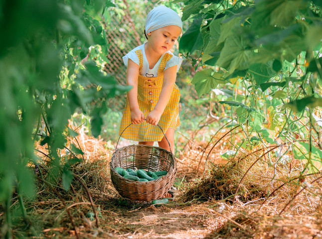 Маленькая девочка в природе и красоте сельской жизни
