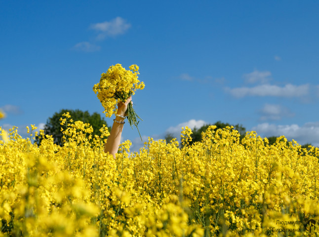 Я нарисую мир таким каким люблю!