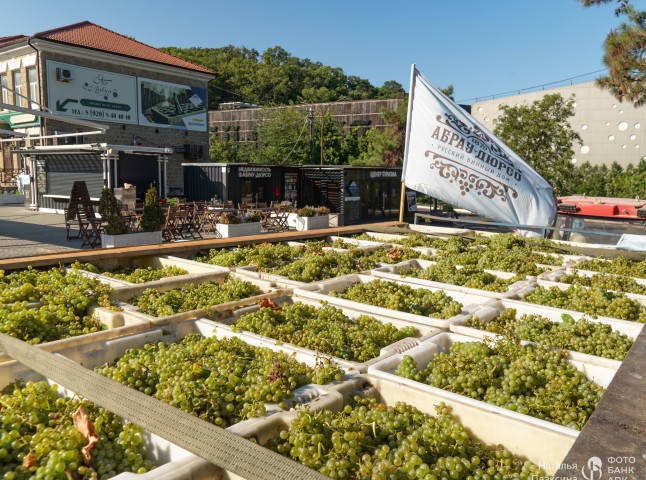 Начало сбора урожая