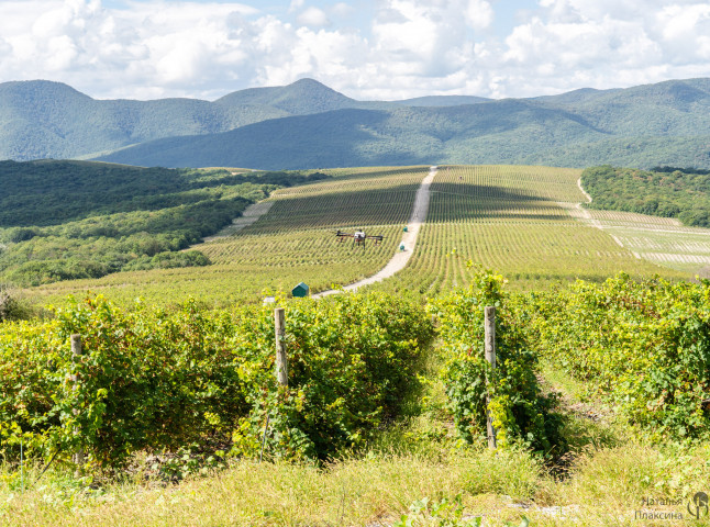 Опрыскивание