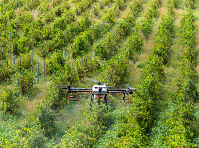 Опрыскивание