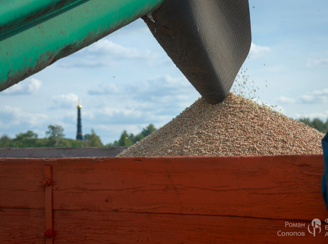 Сохраняя прошлое, возделываем будущее