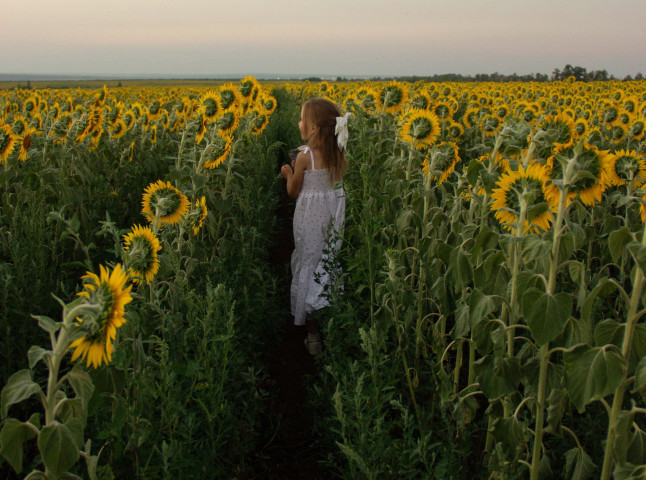 Рай в подсолнухах