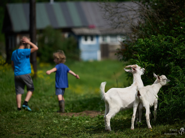 Обед привезли