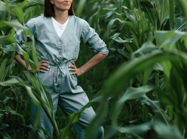 В кукурузном поле