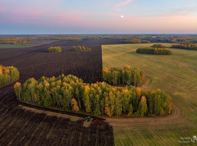 Рисунки осенних полей. Инь/янь