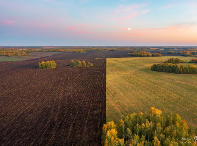 Рисунки полей