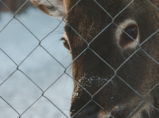 В сердце природы