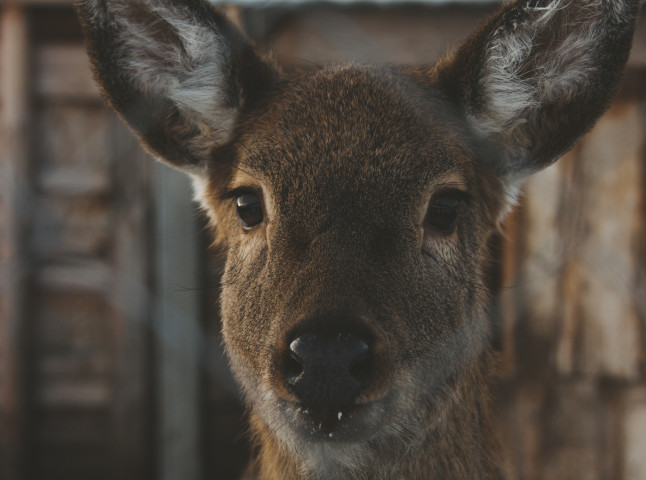 В сердце природы