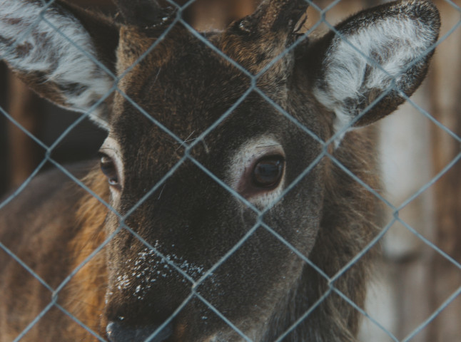 В сердце природы