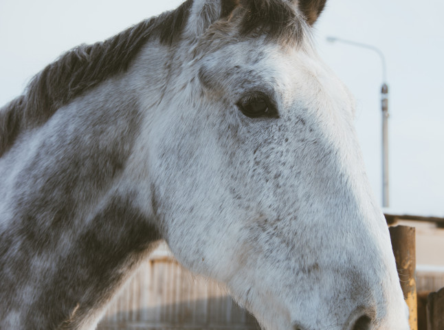 В сердце природы